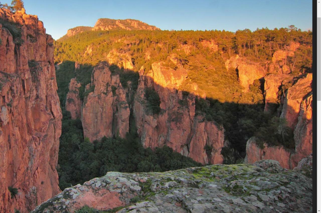 Entre Mer Et Esterel Roquebrune-sur Argens Exteriör bild
